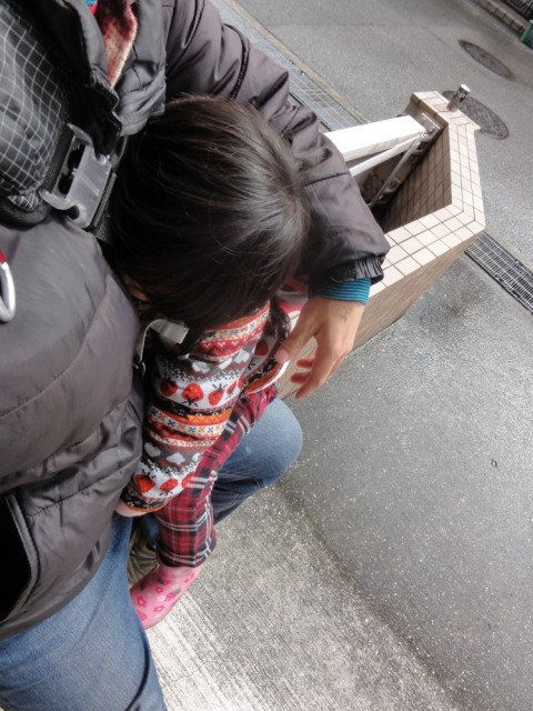 20150223p