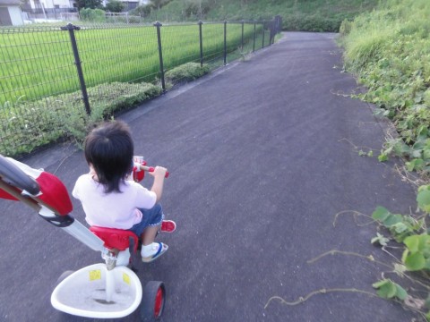 20150724b