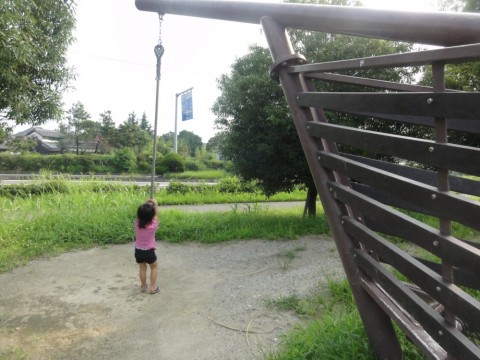 20150802df (2)