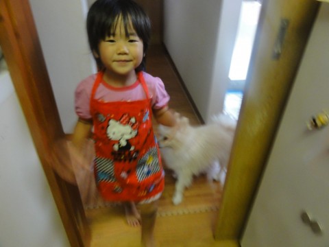 20150816a