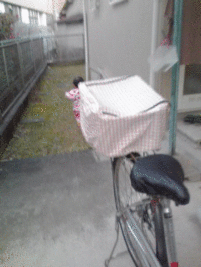 0214c.gif