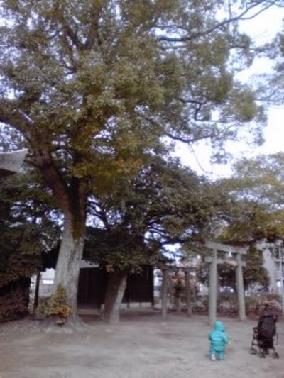0216g.JPG