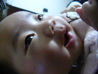 0311b.JPG