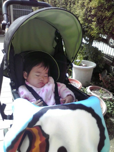 0316h.JPG