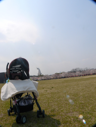 0409f.JPG
