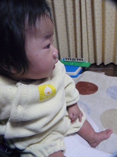 0412a.JPG
