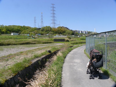 0427g.JPG