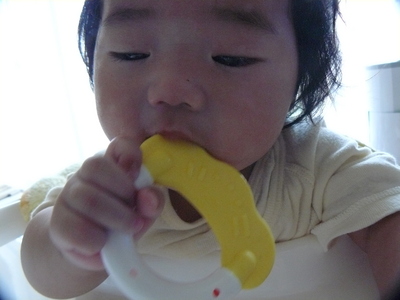 0528a.JPG
