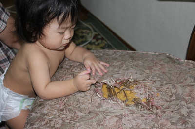 0812a.jpg