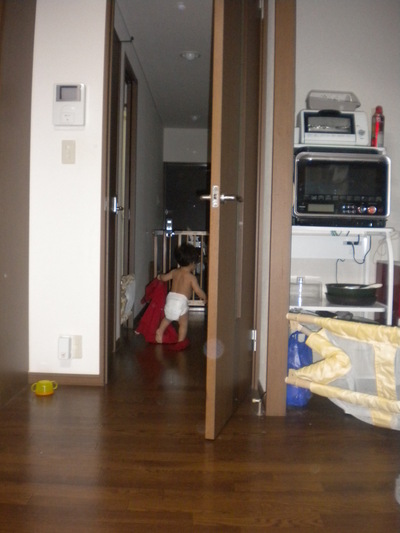 1207d.JPG