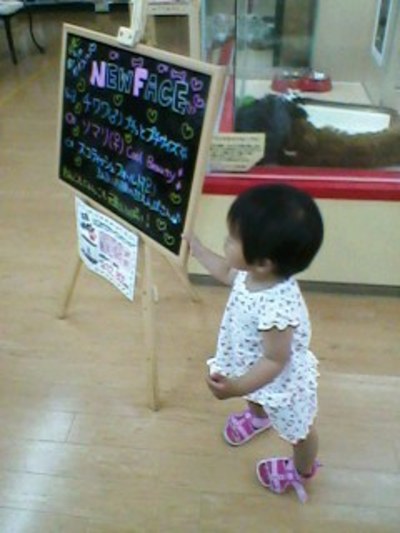 130609b.jpg