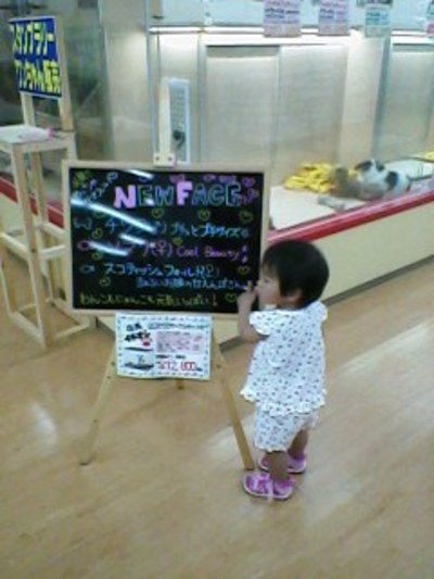 130609c.jpg