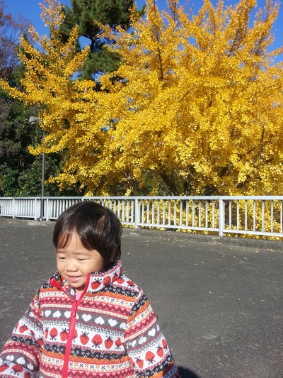 131123a.jpg