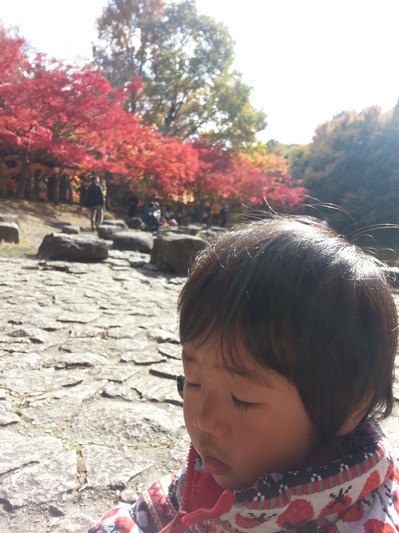131123i.jpg