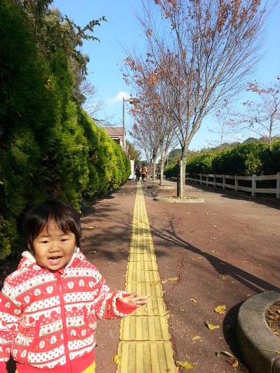 131201a.jpg