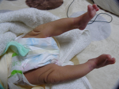 20111220a.JPG
