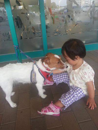20130622_c.jpg