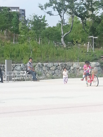 20130623_g.jpg