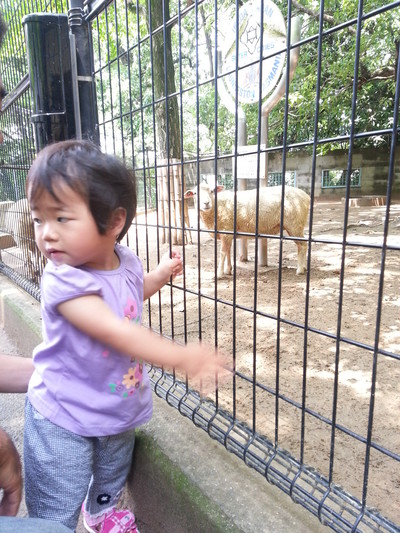 20130624_b.jpg