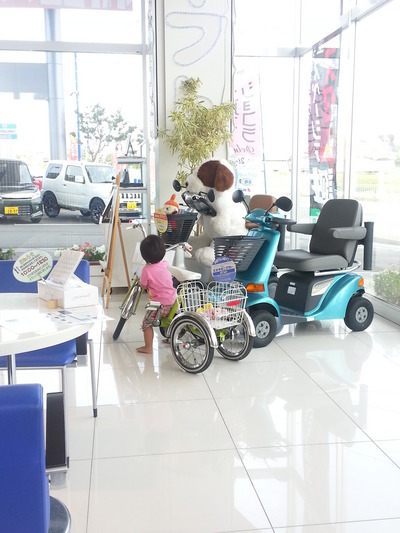20130702_t.jpg