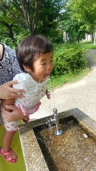 20130922e.jpg