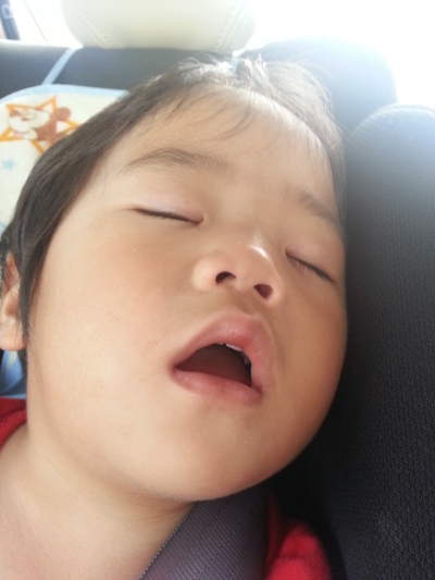 20130930c.jpg