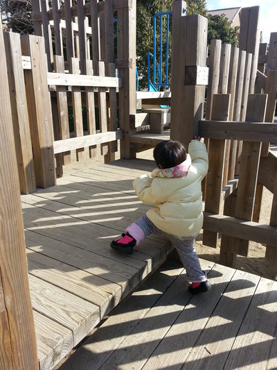 20140113h.jpg