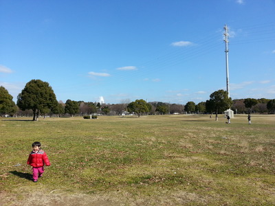 20140127l.jpg