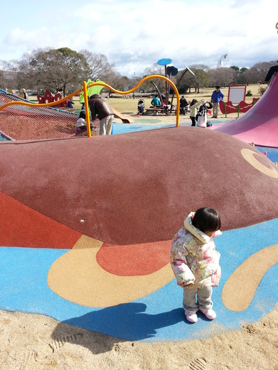 20140209h.jpg