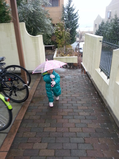 20140214b.jpg