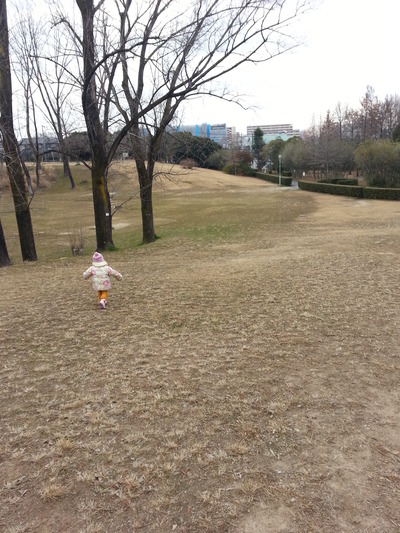 20140222e.jpg