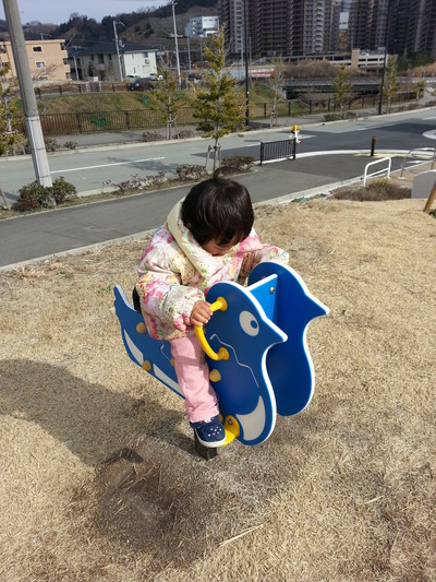 20140302b.jpg