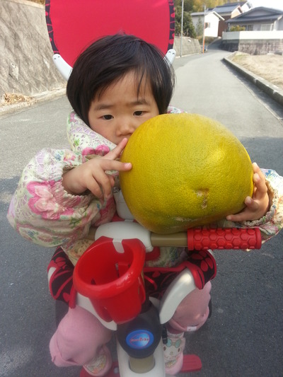 20140309a.jpg