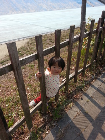 20140317b.jpg