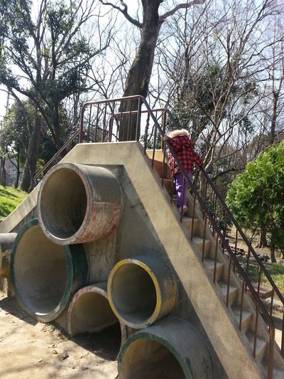 20140323a.jpg