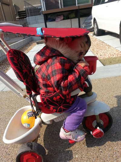 20140323d.jpg