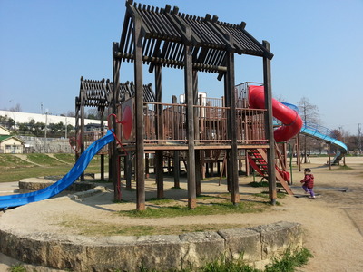 20140324a.jpg