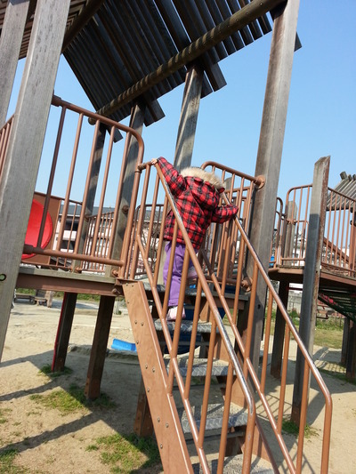 20140324b.jpg