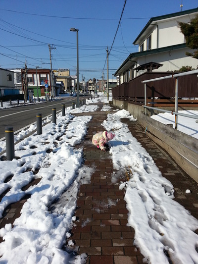 20140401b.jpg