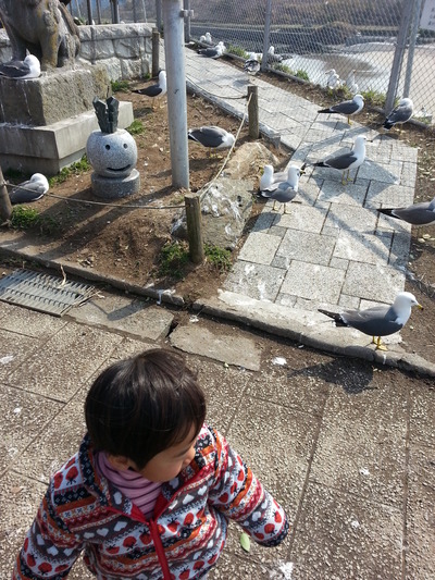 20140403c.jpg