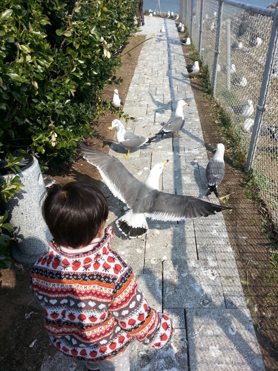 20140403d.jpg