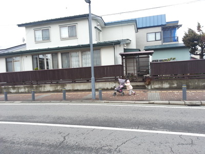 20140404b.jpg
