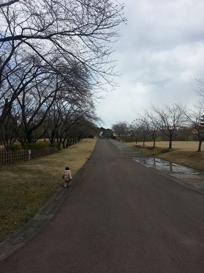 20140411e.jpg