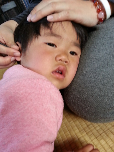 20140412b.jpg