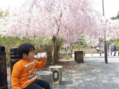 20140417f.jpg