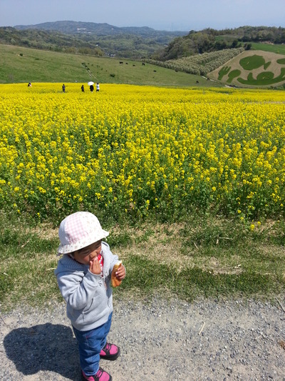 20140425b.jpg