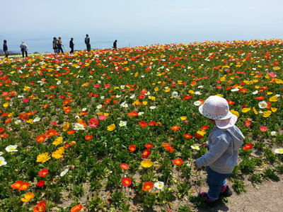 20140425e.jpg