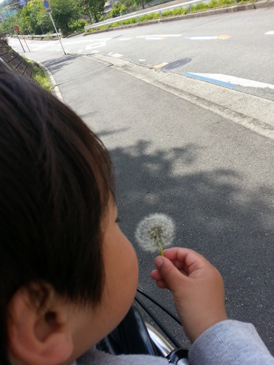 20140501a.jpg