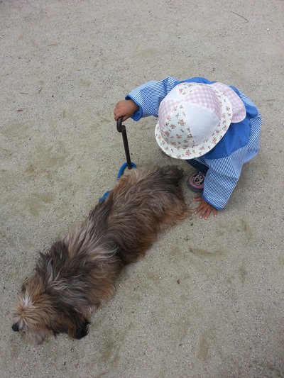 20140516h.jpg