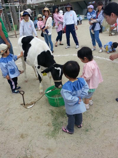 20140516k.jpg
